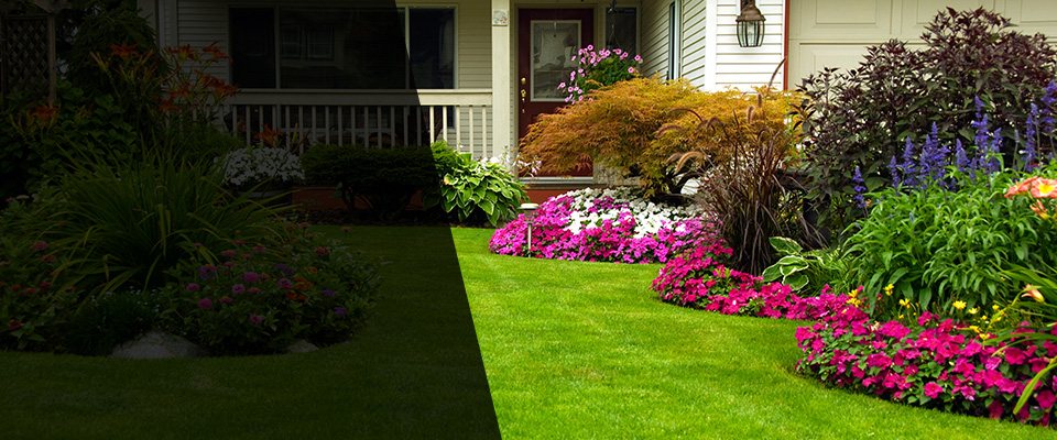 Blue Bell Landscapers
